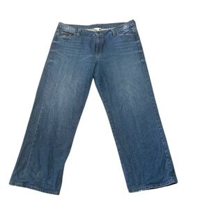Garnet Hill Women's Blue Jeans